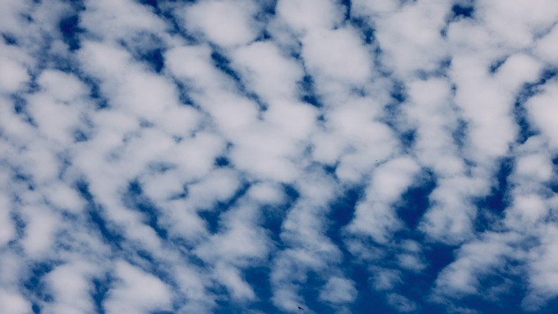 スクリーンショット 2026-04-23 3.18.00