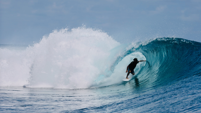 スクリーンショット 2026-04-25 5.04.46