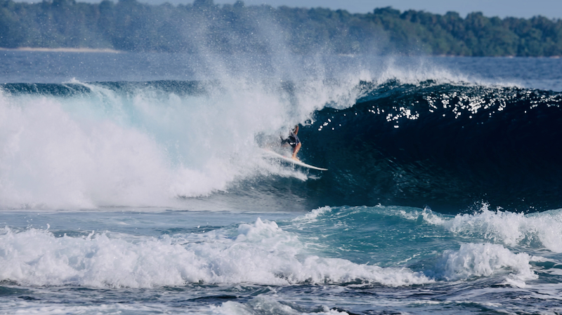 スクリーンショット 2026-04-30 4.24.55