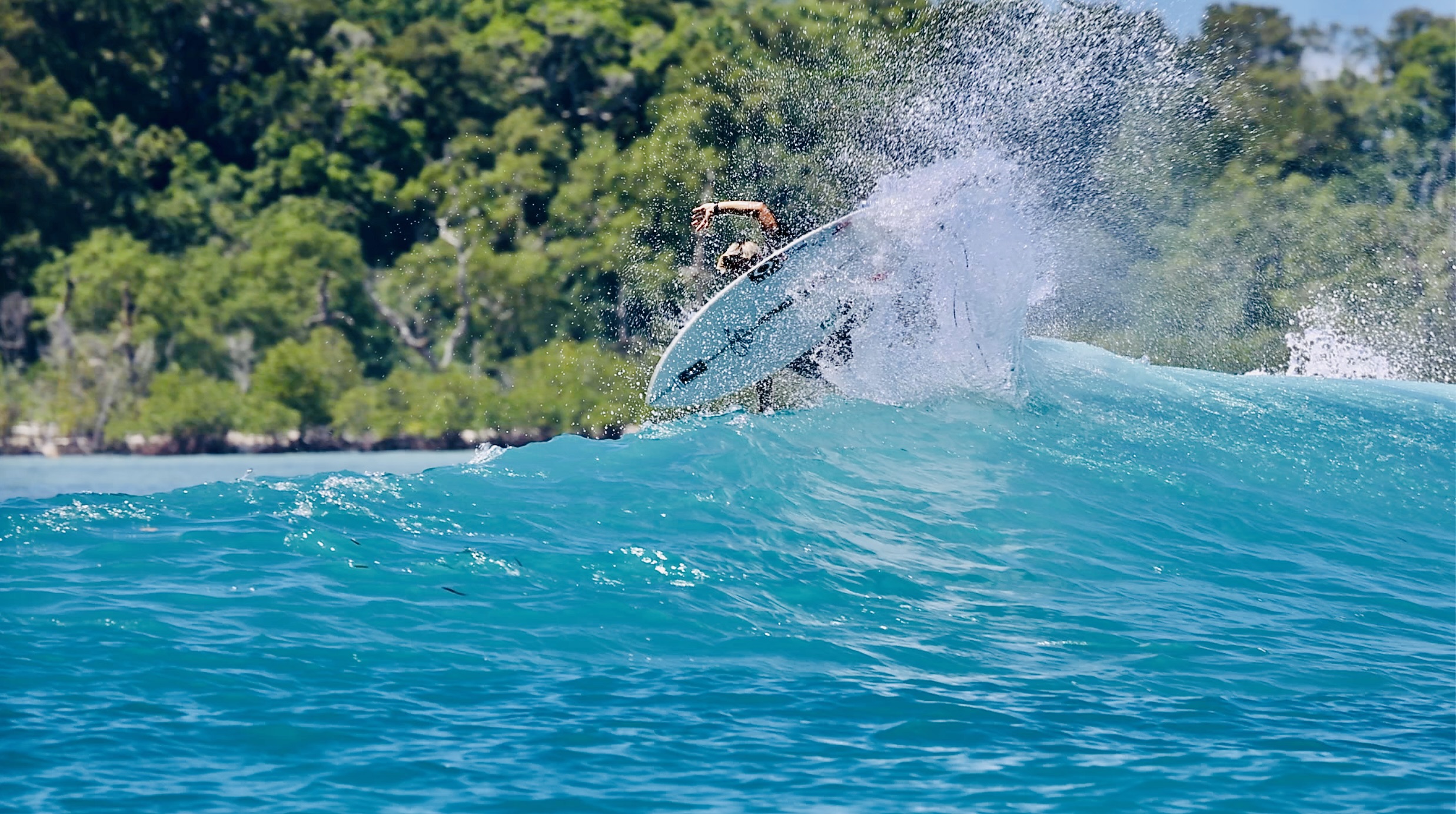 スクリーンショット 2026-04-30 13.50.03
