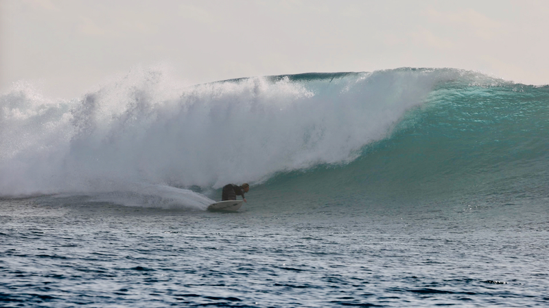 スクリーンショット 2026-04-30 5.57.40