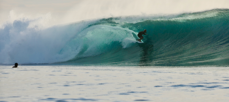 スクリーンショット 2026-04-23 5.12.40