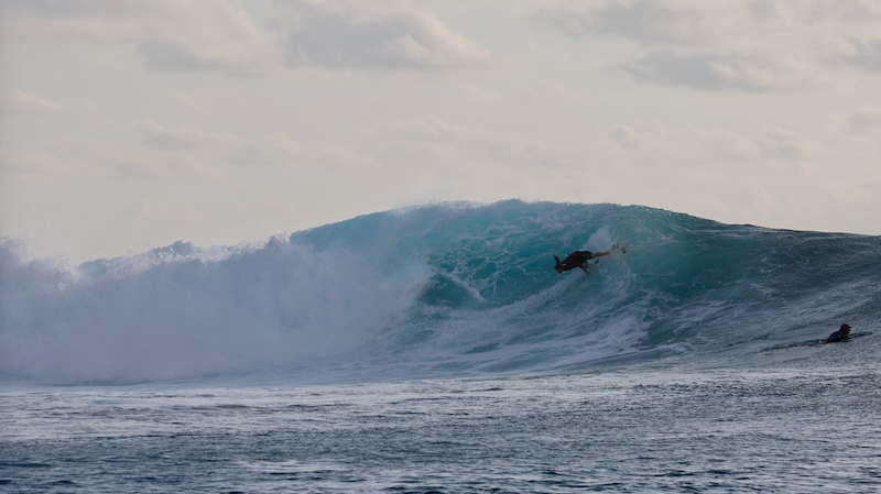 スクリーンショット 2026-04-30 6.16.27