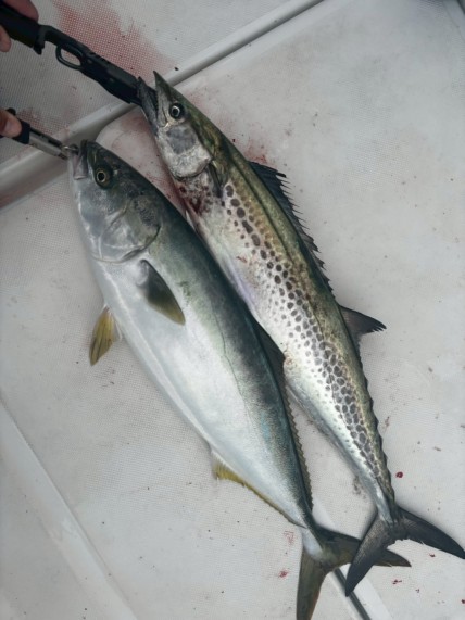 LINE_ALBUM_2026年3月16日(月)サニーサイド浦賀_260402_2