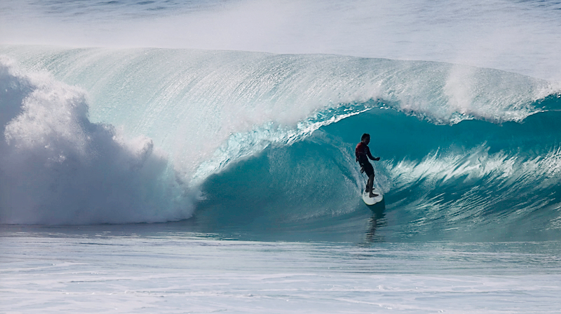 スクリーンショット 2026-02-01 3.36.11