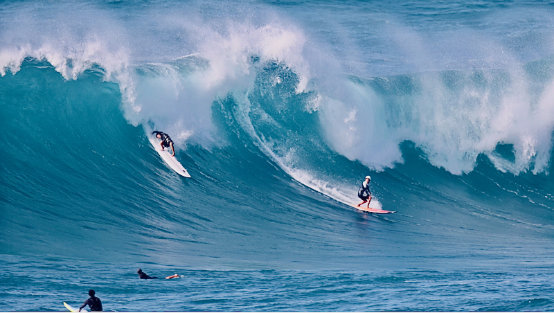 スクリーンショット 2026-02-04 4.45.26
