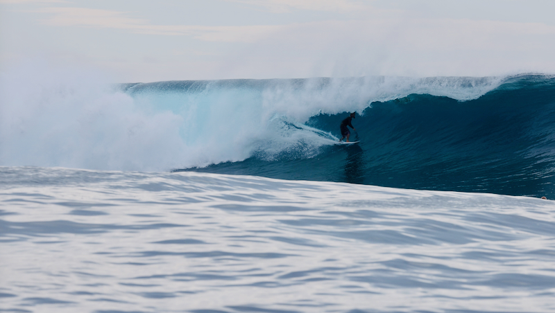スクリーンショット 2026-04-23 4.29.24