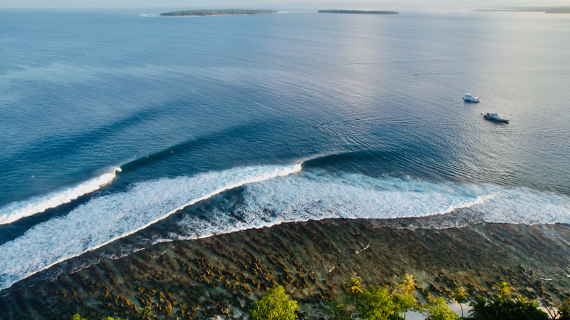 スクリーンショット 2026-04-30 4.55.42