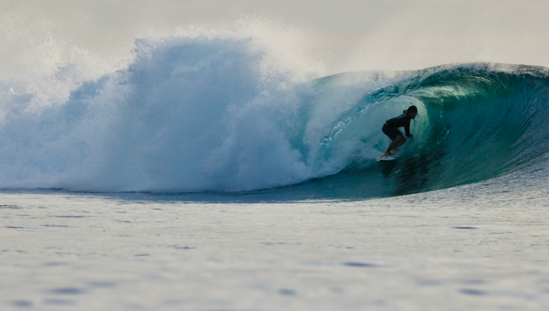 スクリーンショット 2026-04-23 5.16.54