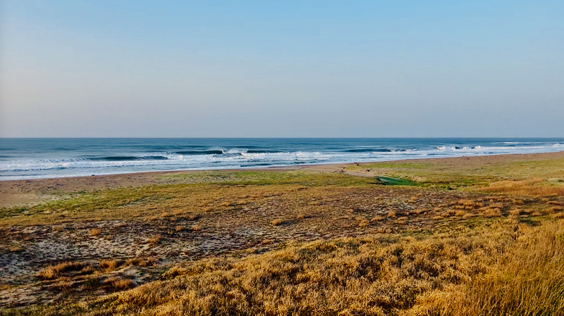 スクリーンショット 2026-04-12 9.49.29