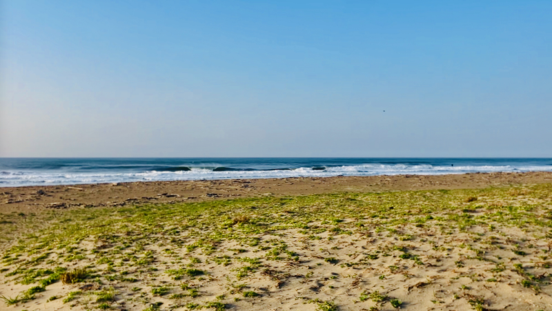 スクリーンショット 2026-04-12 9.55.16