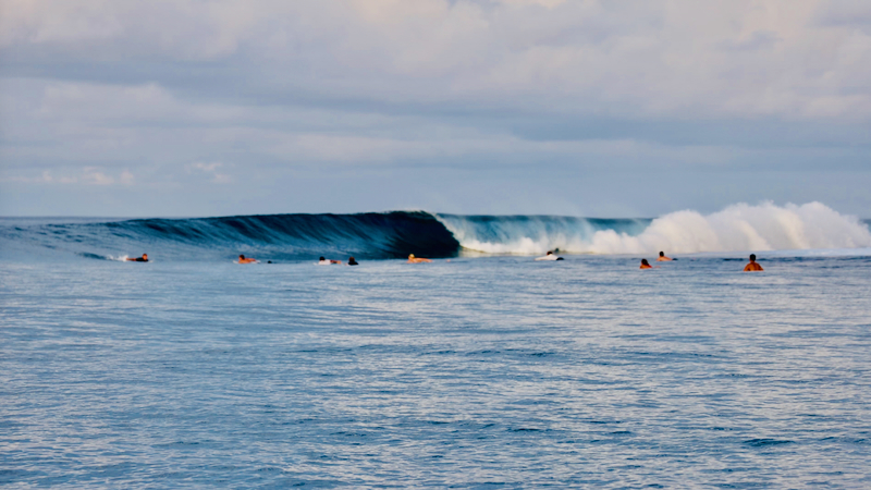 スクリーンショット 2026-04-19 5.31.46