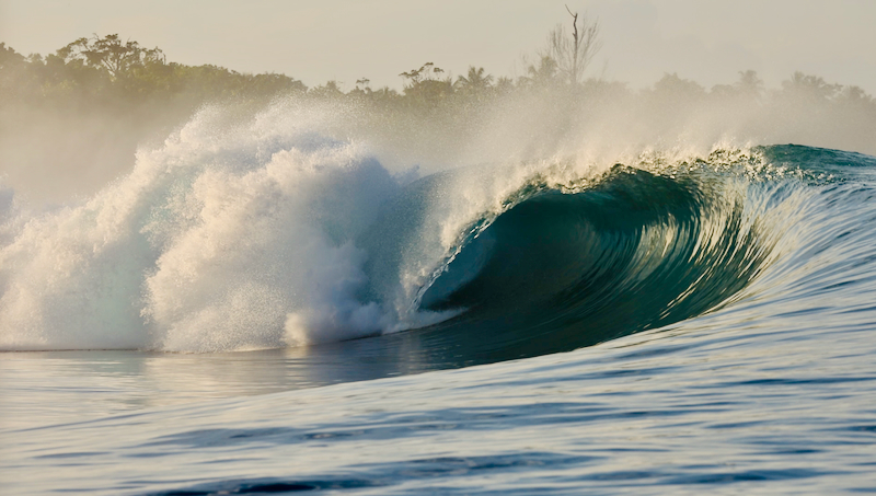 スクリーンショット 2026-04-24 2.04.46