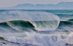 スクリーンショット 2026-04-06 15.11.23