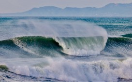 スクリーンショット 2026-04-06 15.11.23