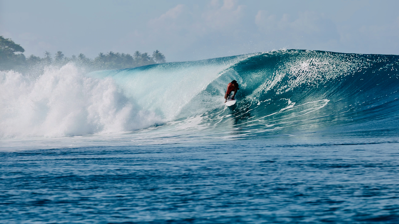 スクリーンショット 2026-04-24 2.48.08