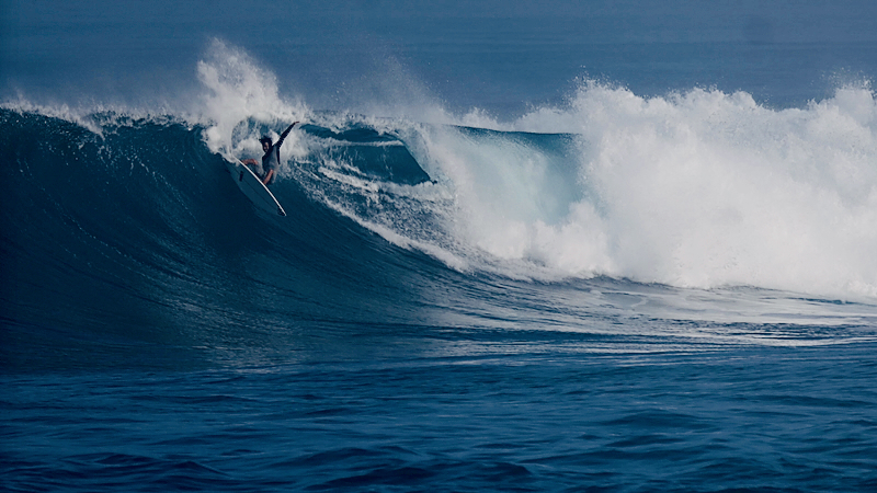 スクリーンショット 2026-01-28 17.52.49