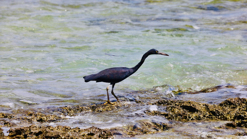 スクリーンショット 2026-04-22 5.24.13