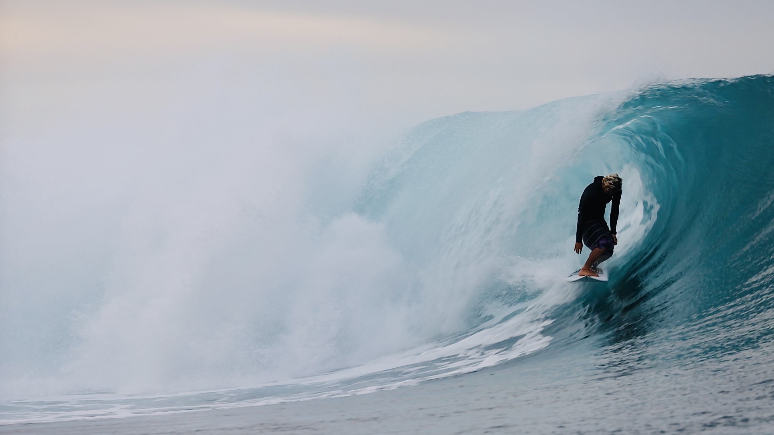 スクリーンショット 2026-04-30 11.44.31