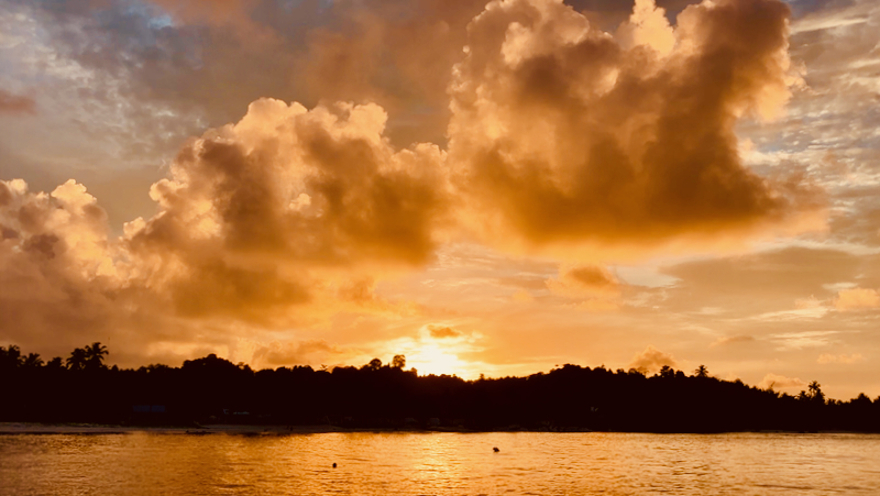 スクリーンショット 2026-04-19 5.37.57