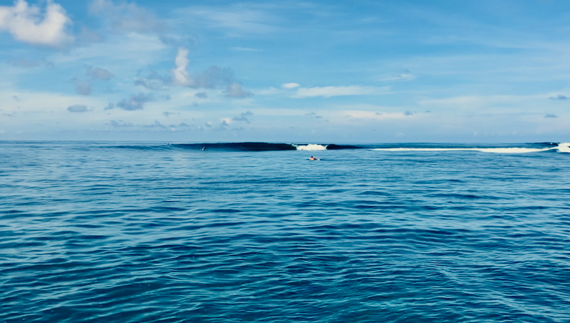 スクリーンショット 2026-04-20 5.09.46