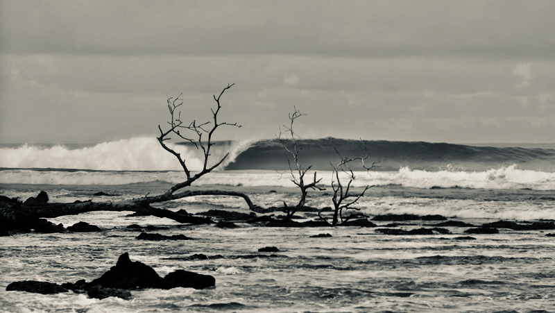 スクリーンショット 2026-04-23 2.58.01