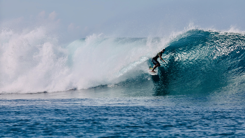 スクリーンショット 2026-04-24 2.46.32