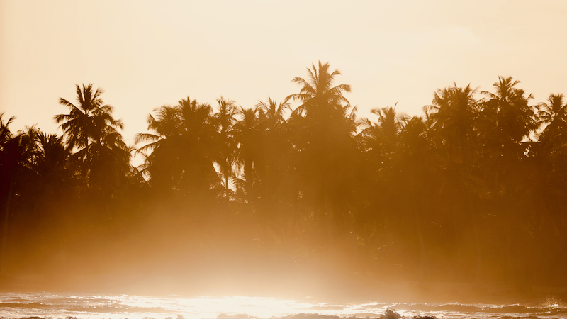 スクリーンショット 2026-04-20 5.30.56