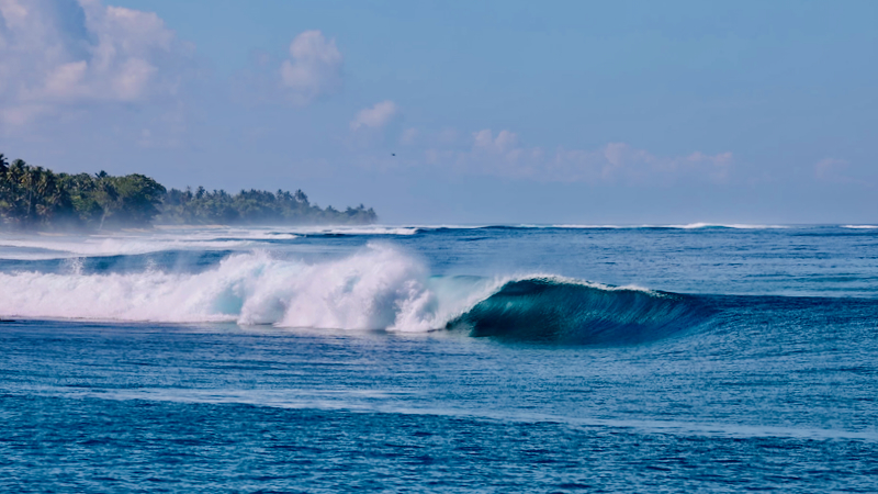 スクリーンショット 2026-04-24 2.57.02