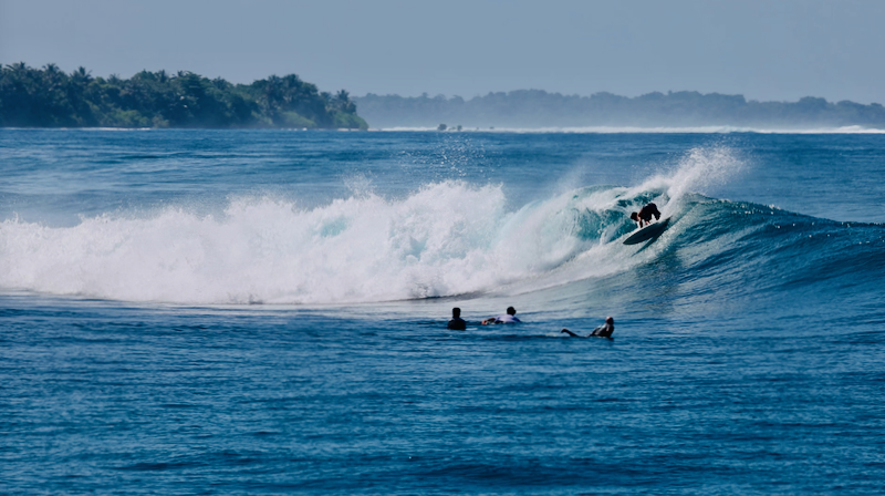 スクリーンショット 2026-04-25 4.17.11