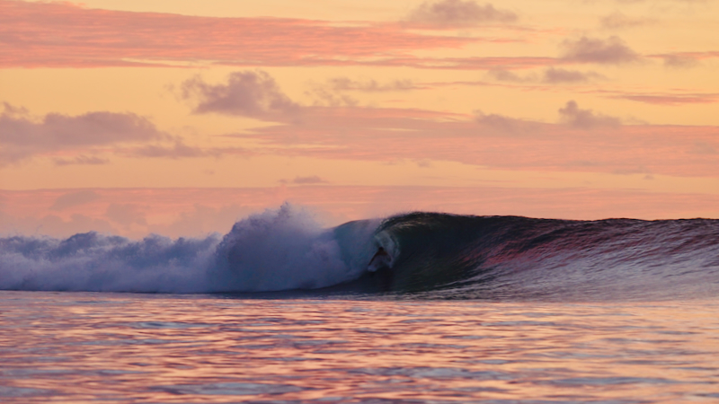 スクリーンショット 2026-04-23 15.44.05