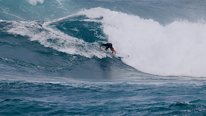 スクリーンショット 2026-01-17 15.25.02