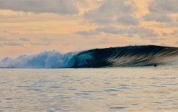 スクリーンショット 2026-04-23 15.32.37