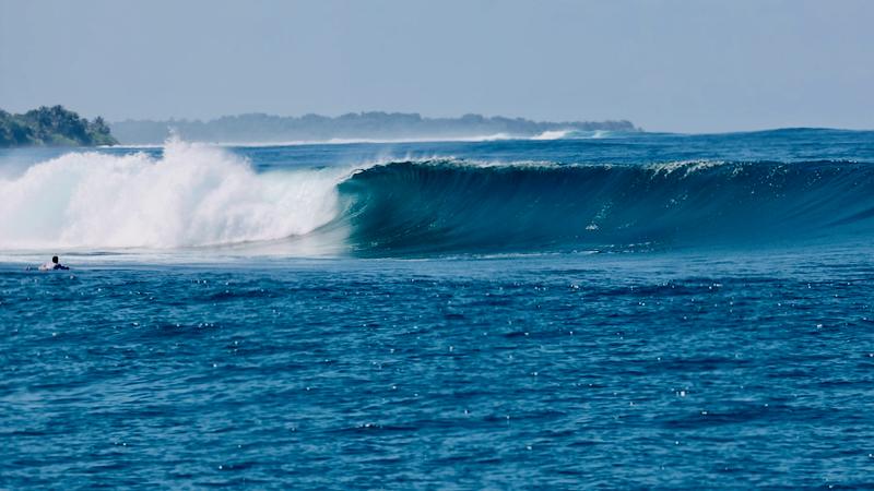 スクリーンショット 2026-04-25 4.24.45