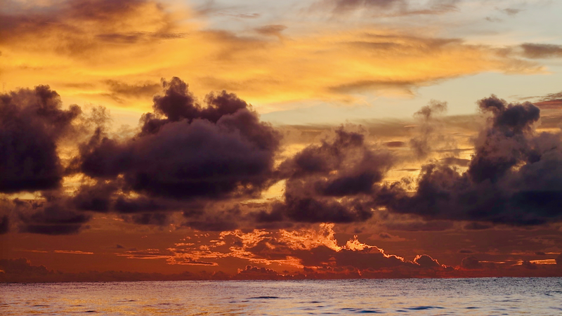 スクリーンショット 2026-04-23 15.41.17