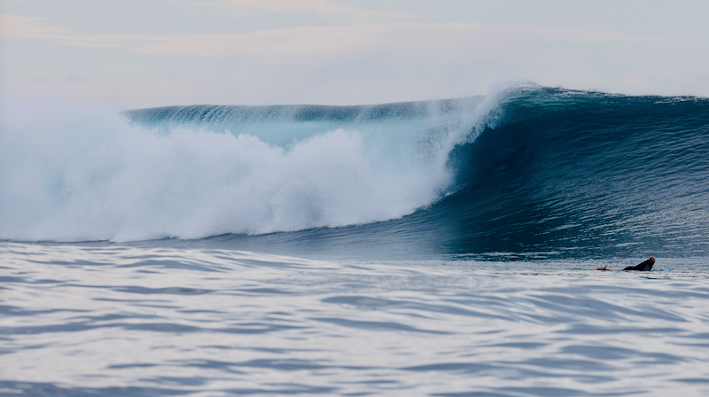 スクリーンショット 2026-04-23 4.30.17