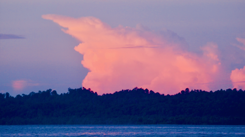 スクリーンショット 2026-04-23 15.41.45