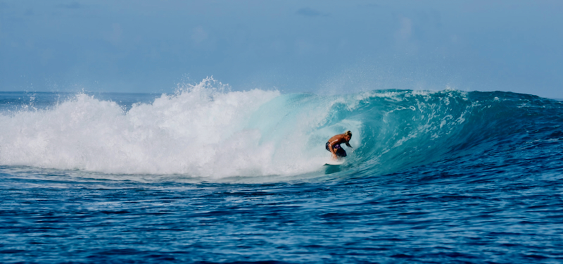 スクリーンショット 2026-04-20 4.54.52