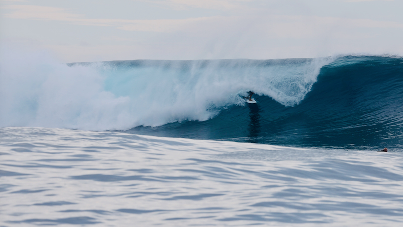 スクリーンショット 2026-04-23 4.29.52