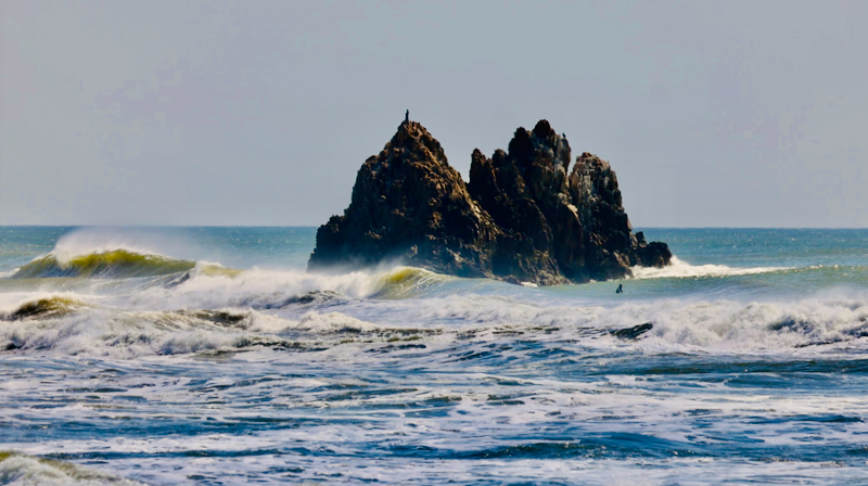 スクリーンショット 2026-04-12 12.38.26