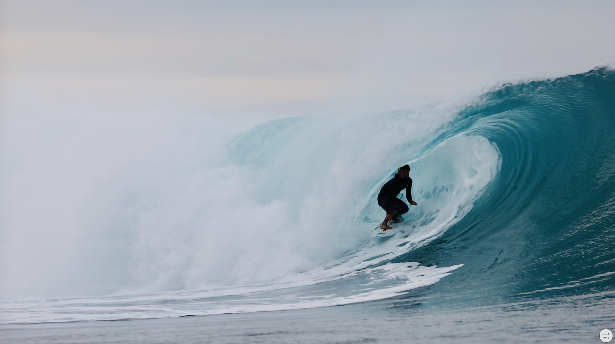 スクリーンショット 2026-04-30 11.43.59