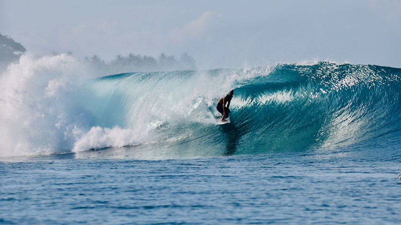 スクリーンショット 2026-04-24 2.43.24