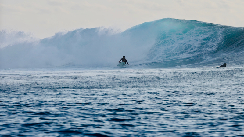 スクリーンショット 2026-04-30 6.16.04