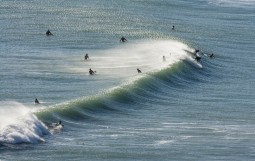 shutterstock_163741169