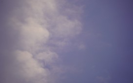 DSC04111