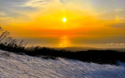 IMG_1014