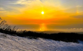 IMG_1014