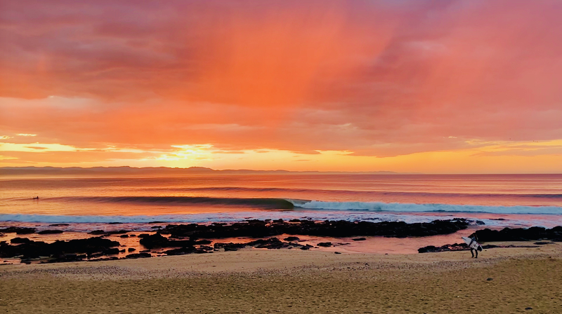 スクリーンショット 2026-06-24 5.11.47