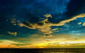 IMG_0460
