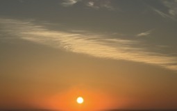 IMG_4764